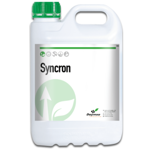 syncron