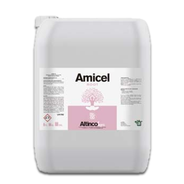 amicel root