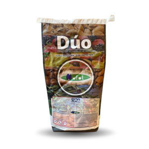 duo