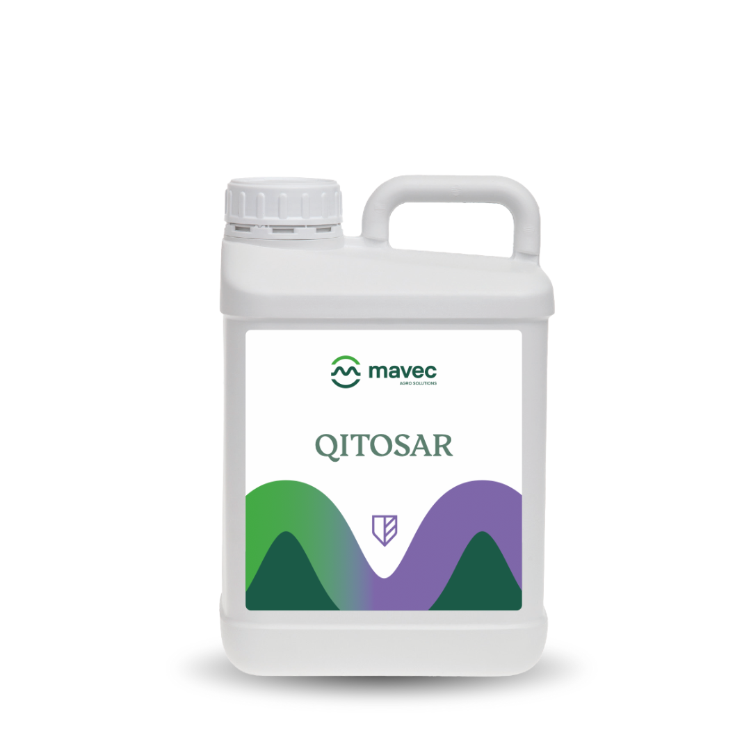 qitosar