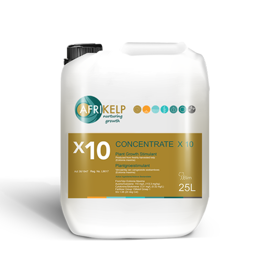 afrikelp x10 concentrate